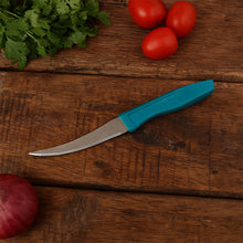 Steel Paring Knife